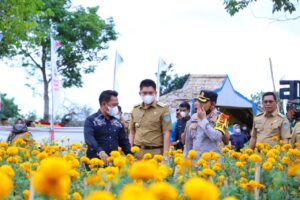 Resmikan Taman Bunga Tanjung Pering, Bupati Panca : Jadikan Taman Bunga Tanjung Pering Sebagai Momentum Kebangkitan Pariwisata Ogan Ilir Di Era Pandemi