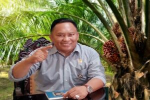 LSM LIN Desak Pemkab OKI Segera Selesaikan Konflik Plasma Di Desa Gading Jaya Kecamatan Sungai Menang 